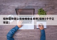 榆林区块链公司有哪些名单啊[榆林5个千亿项目]